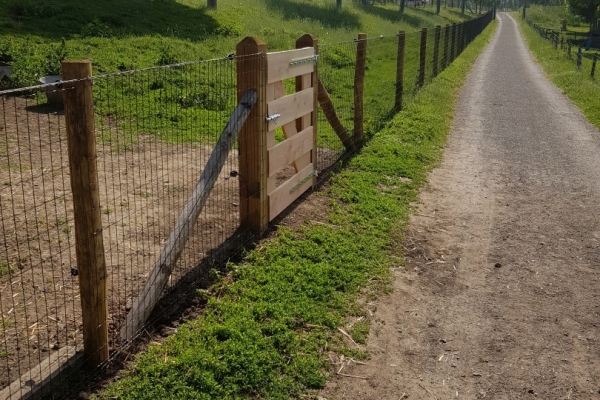 bestuurder Doorzichtig Noordoosten Geitenwei Barendrecht