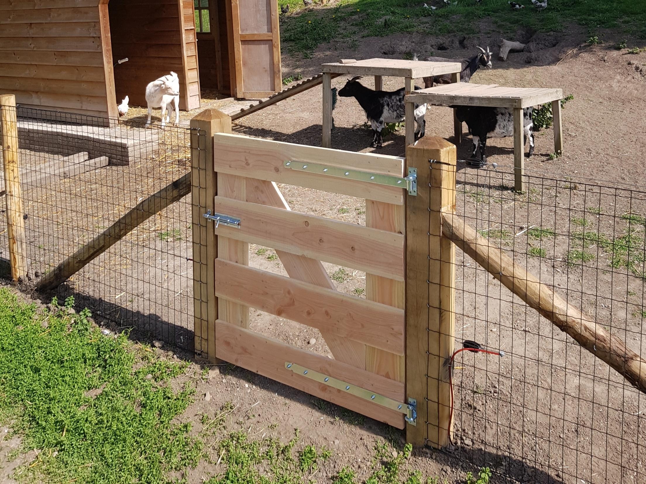 molen Beschikbaar canvas Afrastering voor geiten | De Haas Afrasteringen