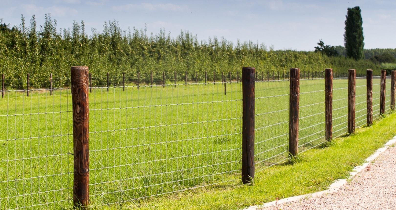 Afrastering voor Honden De Haas Afrasteringen