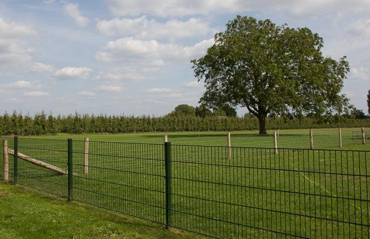 Afrastering voor Honden De Haas Afrasteringen